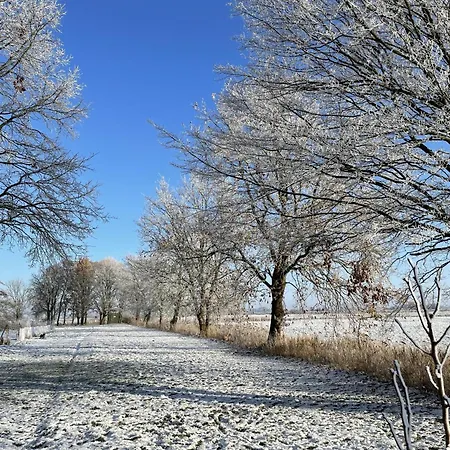 In't Noord Kajuete Apartamento